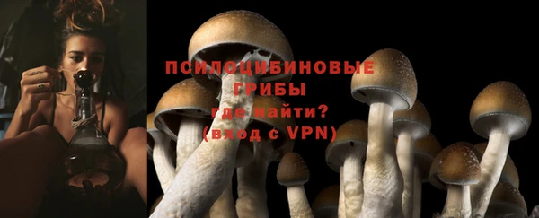 марки lsd Ладушкин