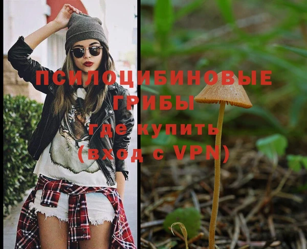 спиды Лиски
